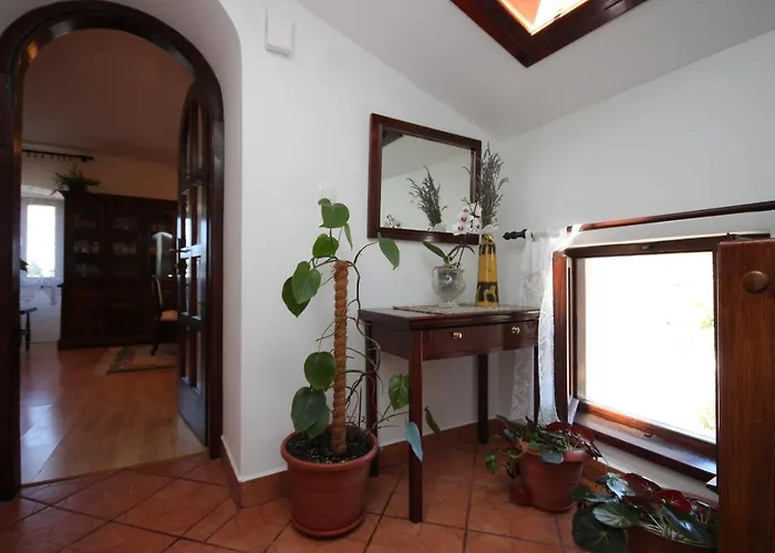 Guest house Apartments And Rooms With Parking Space Cunski, Losinj - 2498 Cunski